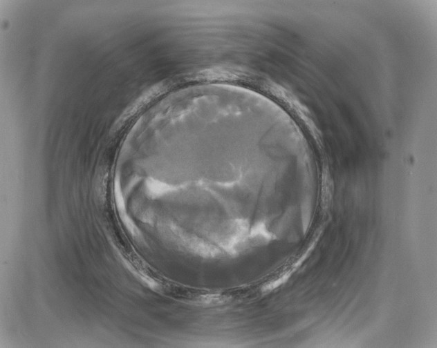 X0000087630153200705311337