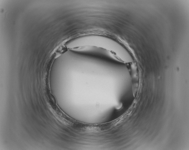 X0000087630154200705311337