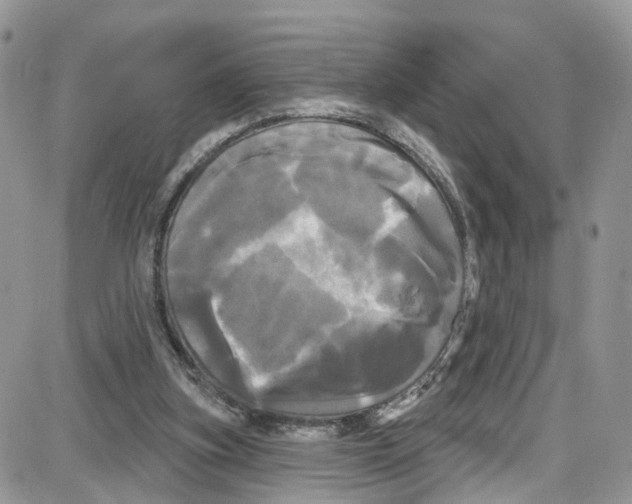 X0000087630155200705311337