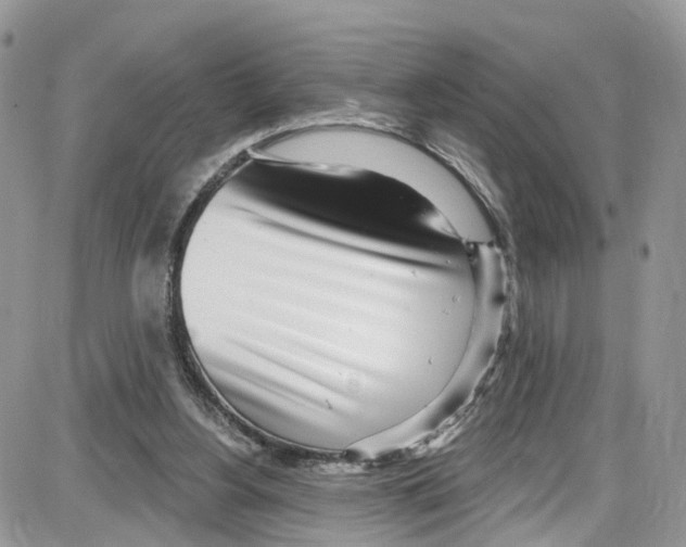 X0000087630156200705311337