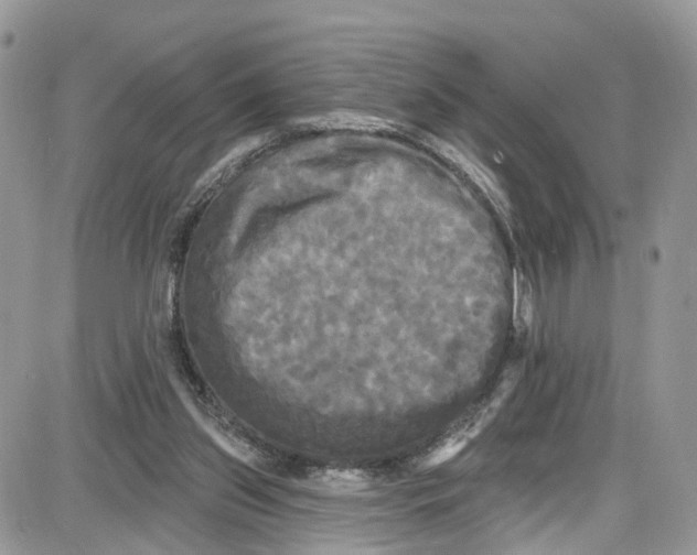 X0000087630157200705311337