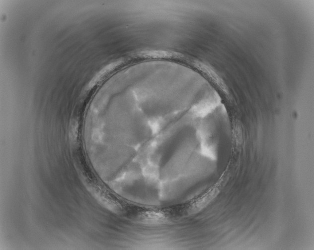 X0000087630159200705311337