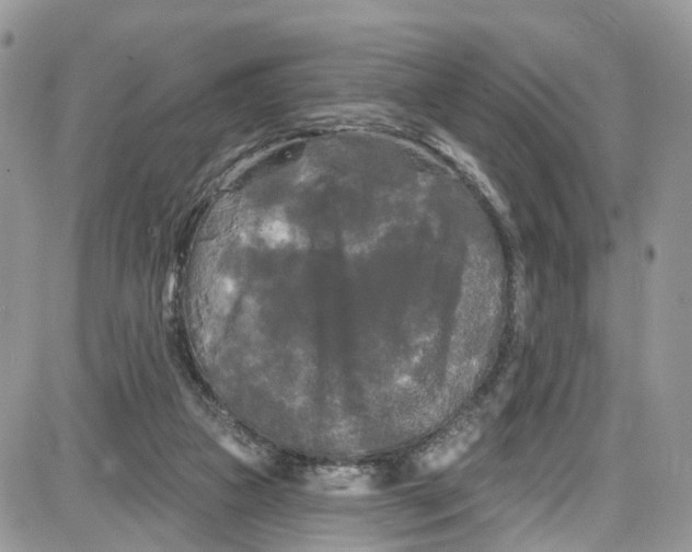 X0000087630161200705311337