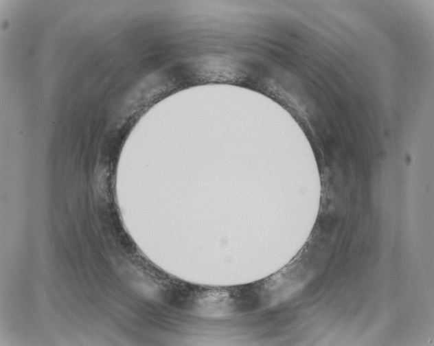 X0000087630162200705311337