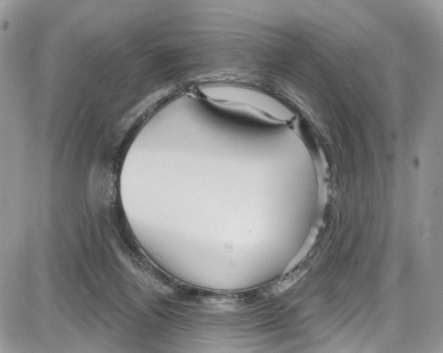 X0000087630164200705311337