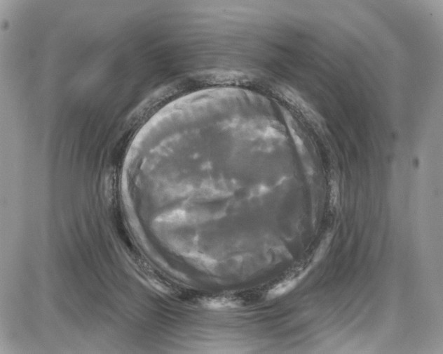 X0000087630165200705311337