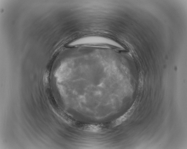 X0000087630166200705311337