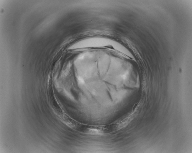 X0000087630167200705311337