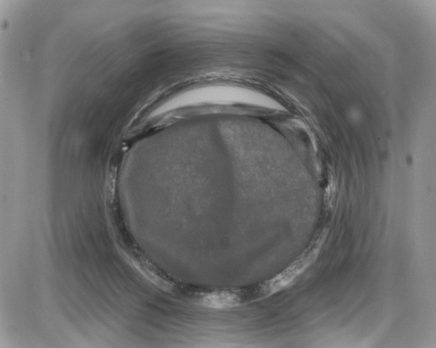 X0000087630168200705311337