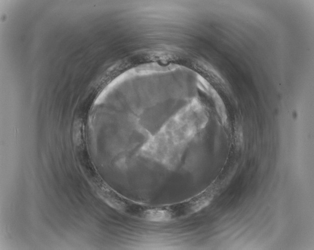 X0000087630169200705311337