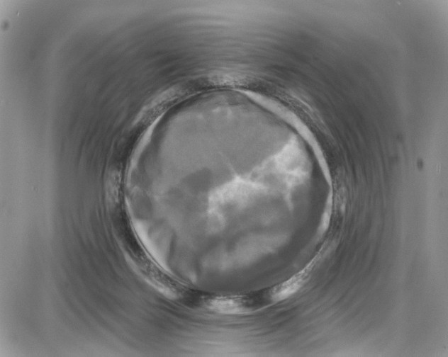 X0000087630171200705311337