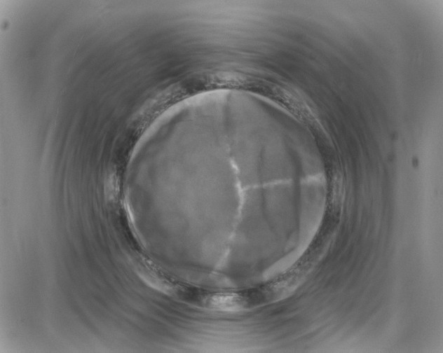 X0000087630173200705311337