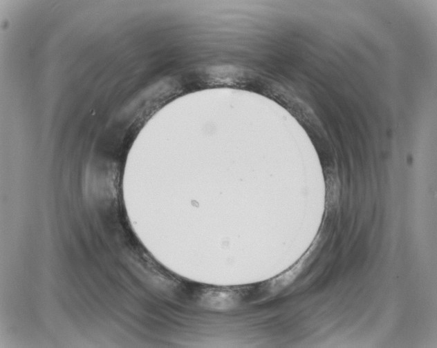 X0000087630174200705311337