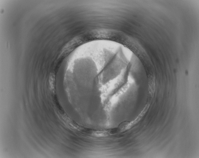 X0000087630175200705311337