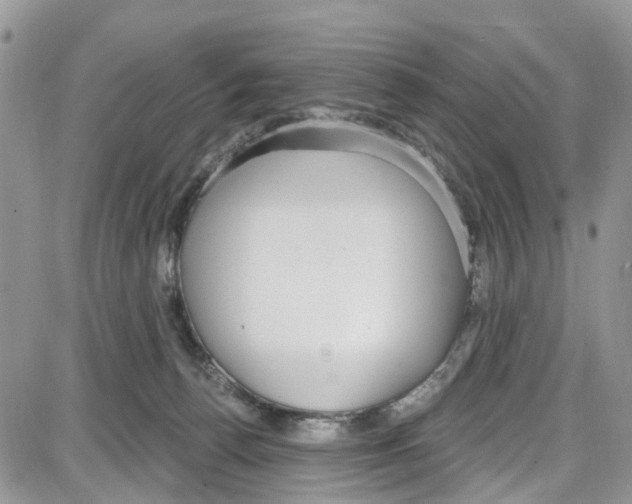 X0000087630176200705311337