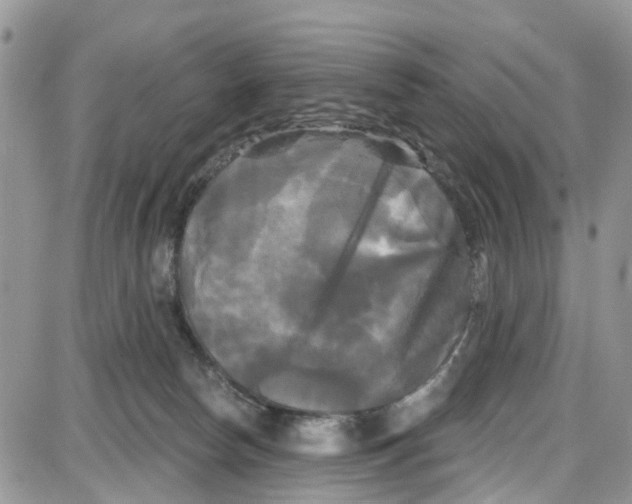 X0000087630178200705311338