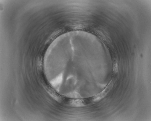 X0000087630179200705311338