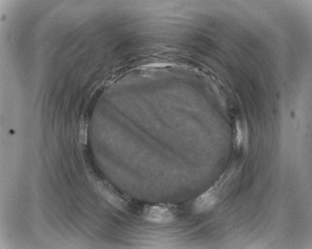 X0000087630180200705311338