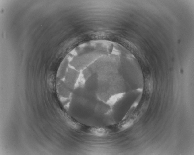 X0000087630181200705311338