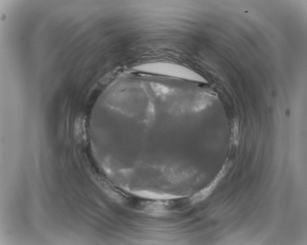 X0000087630182200705311338