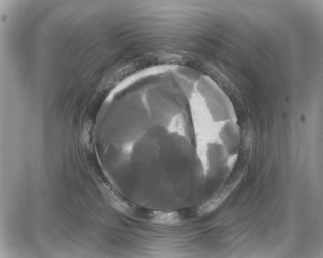 X0000087630185200705311338