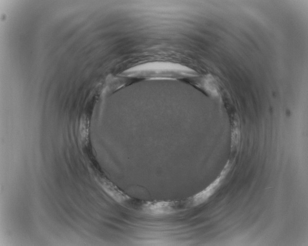 X0000087630186200705311338