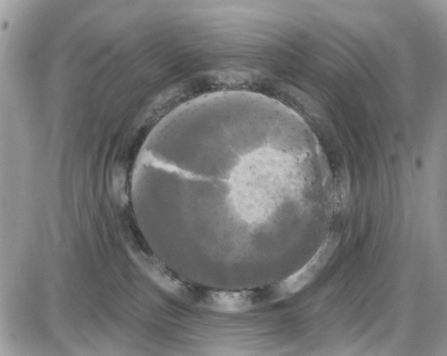 X0000087630187200705311338