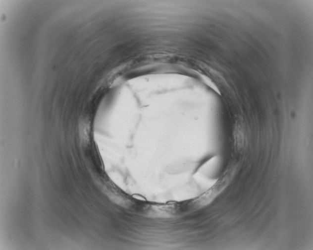 X0000087630188200705311338