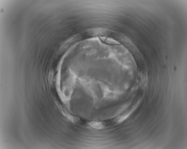 X0000087630189200705311338