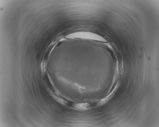 X0000087630191200705311338