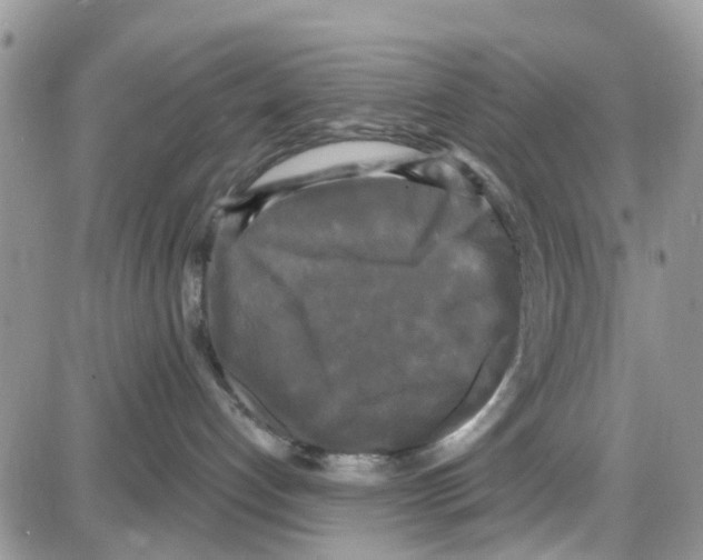 X0000087630192200705311338