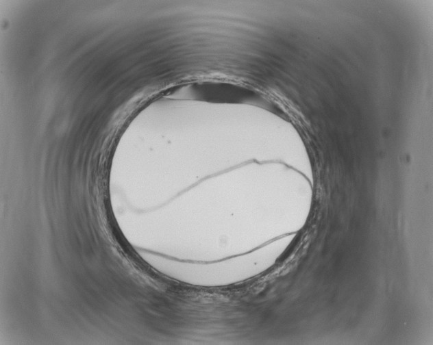 X0000087630193200705311337