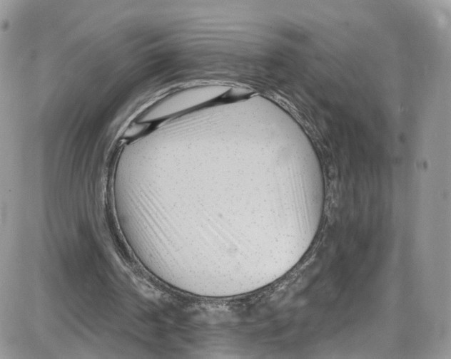 X0000087630194200705311337