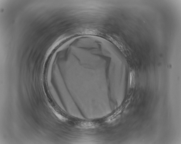 X0000087630195200705311337