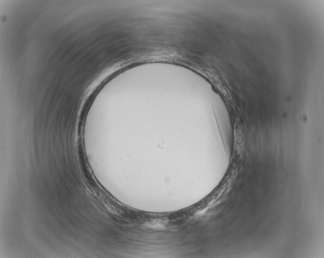 X0000087630196200705311337