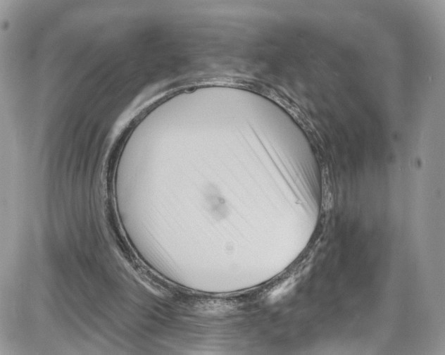 X0000087630198200705311337