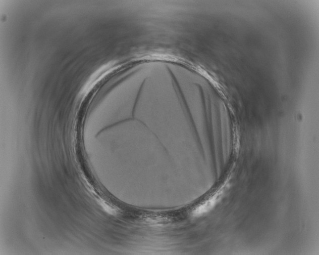 X0000087630199200705311337