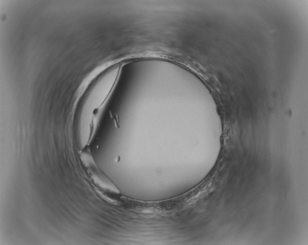 X0000087630200200705311337