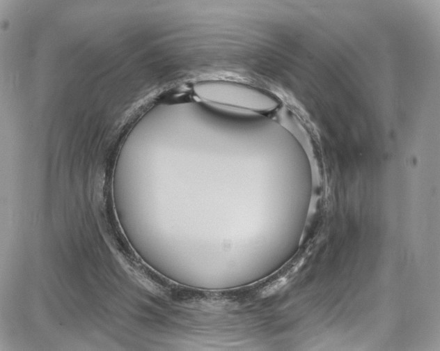 X0000087630201200705311337