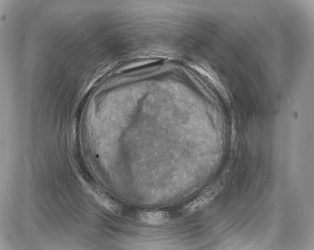 X0000087630202200705311337