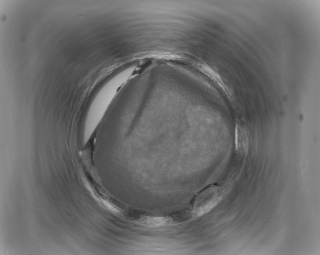 X0000087630205200705311337