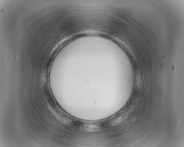 X0000087630208200705311337