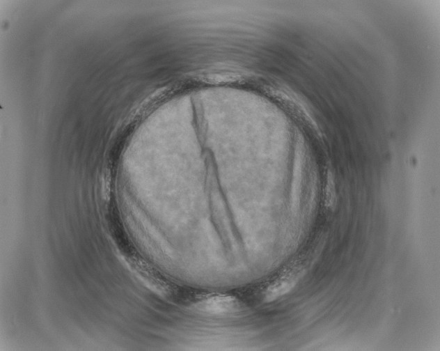 X0000087630210200705311337