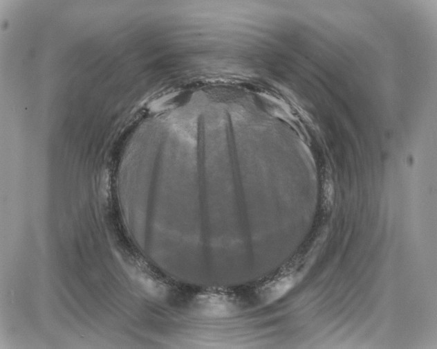 X0000087630211200705311337