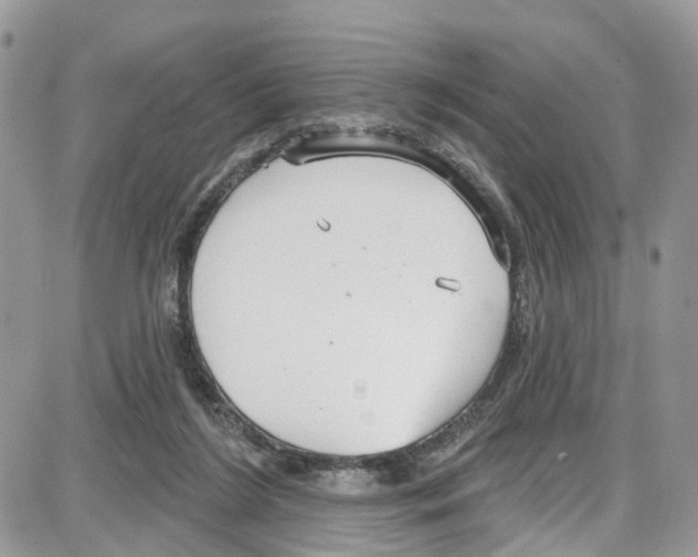 X0000087630212200705311337