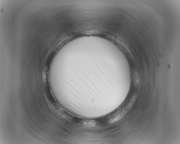 X0000087630214200705311337