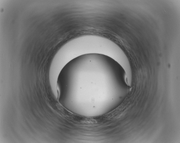 X0000087630215200705311337