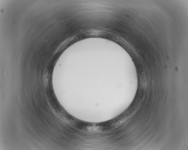 X0000087630216200705311337