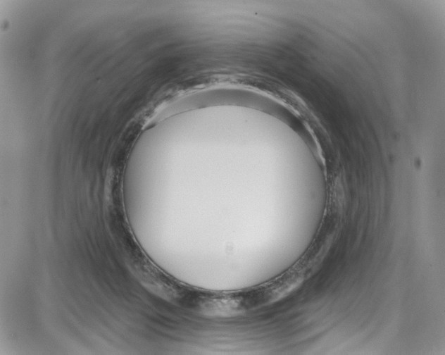 X0000087630217200705311337