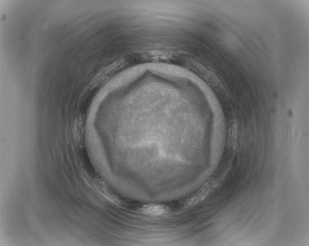 X0000087630218200705311337